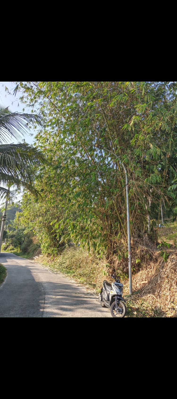 Gambar Pengaduan